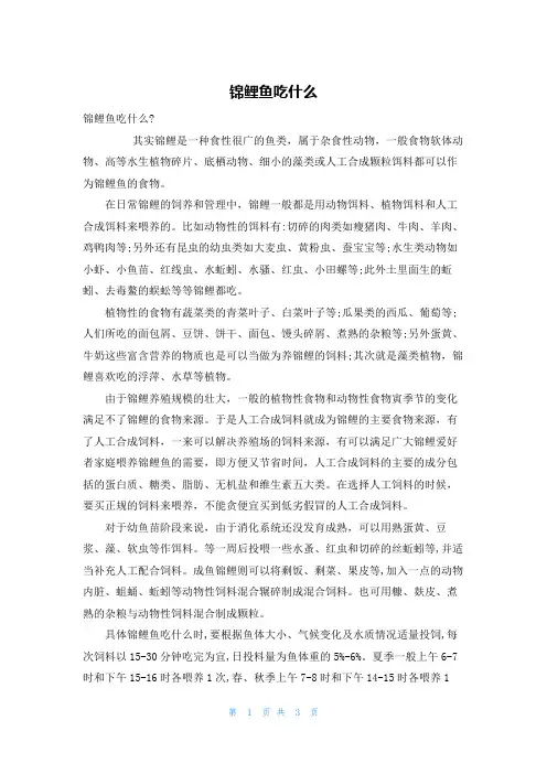 锦鲤鱼吃什么
