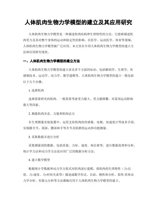 人体肌肉生物力学模型的建立及其应用研究