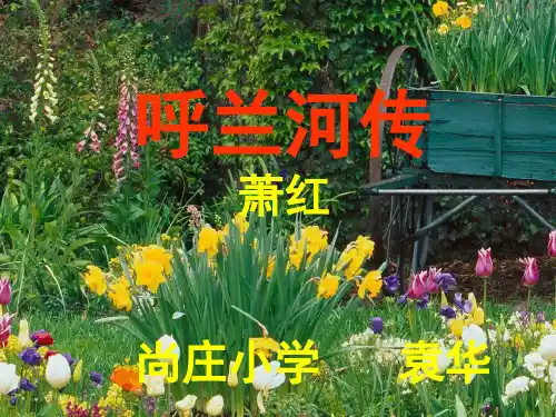 《呼兰河传》阅读指导