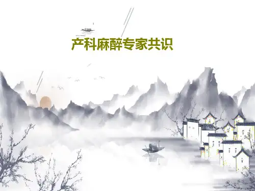 产科麻醉专家共识共29页文档