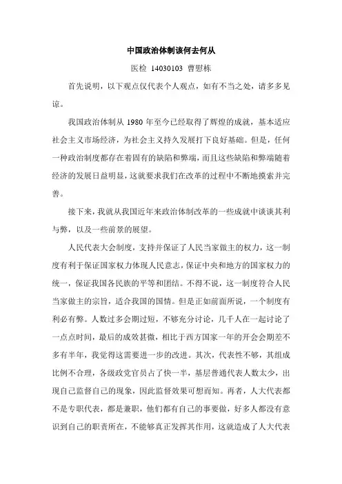 中国政治体制该何去何从