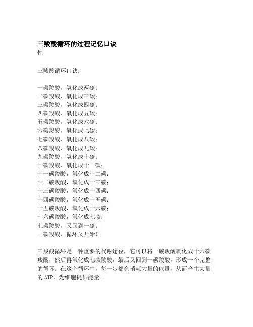 三羧酸循环的过程记忆口诀