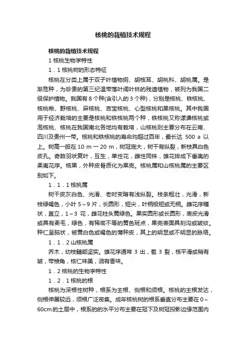 核桃的栽植技术规程