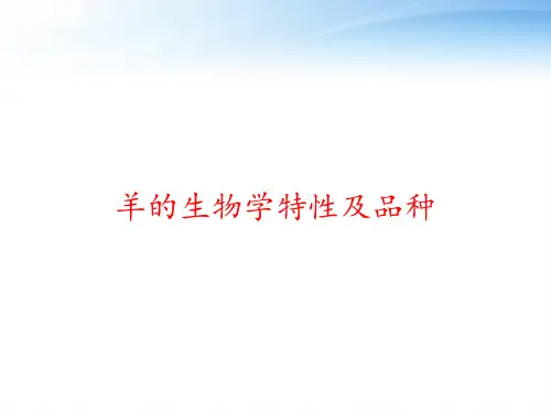 羊的生物学特性及品种 ppt课件