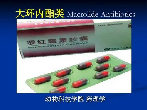 大环内酯类