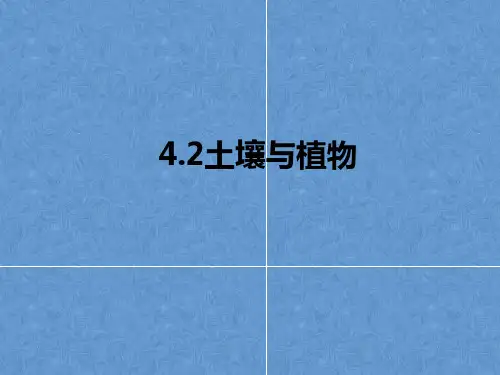 华师大版科学七年级下册4.2 土壤与植物 课件