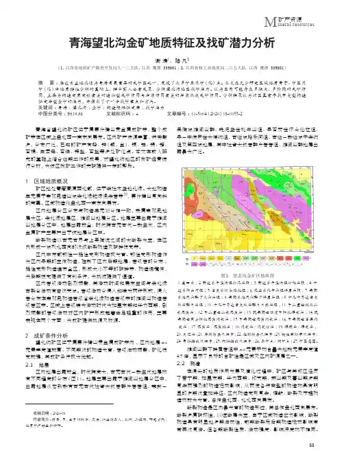 青海望北沟金矿地质特征及找矿潜力分析