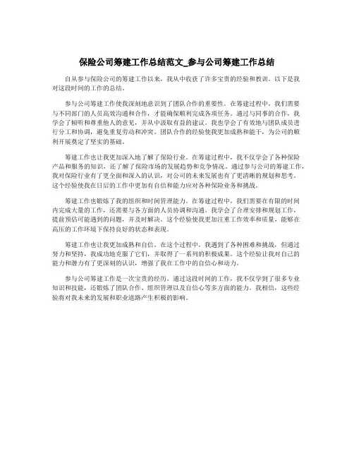 保险公司筹建工作总结范文_参与公司筹建工作总结