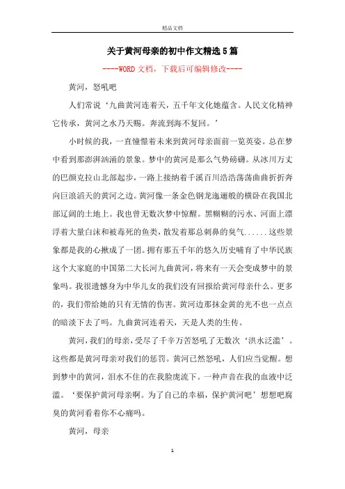 关于黄河母亲的初中作文精选5篇