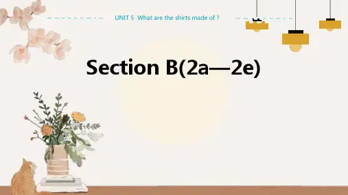 Unit5第五课时(sectionB2a-2e)课件2022-2023学年人教版英语九年级全册