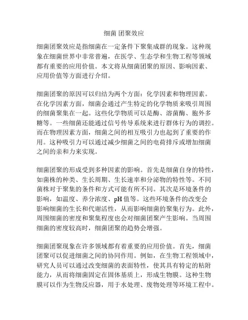 细菌 团聚效应