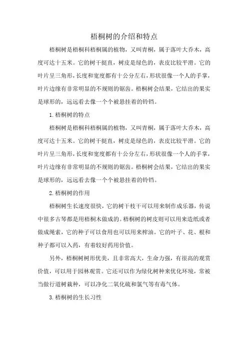 梧桐树的介绍和特点