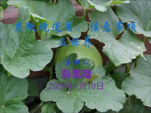 显微镜使用、注意事项及保养ppt课件