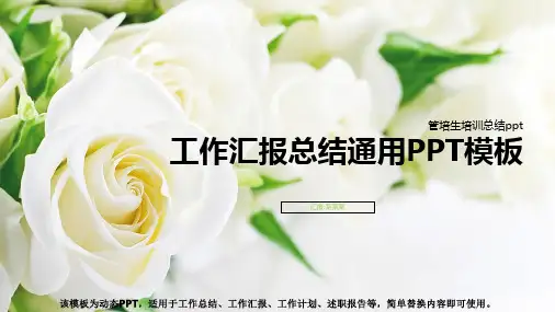 2018-2019年管培生培训总结ppt【精选ppt】