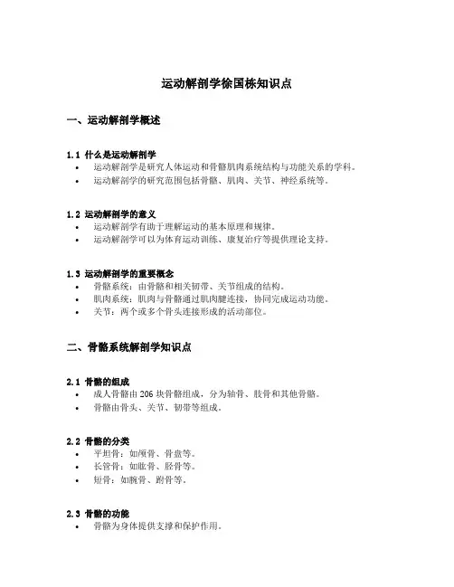 运动解剖学徐国栋知识点
