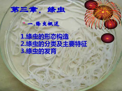 动物医学课件：绦虫