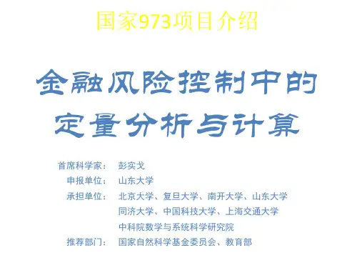 973金融项目介绍