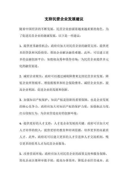 支持民营企业发展建议