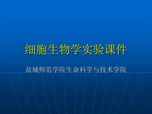 细胞生物学实验：细胞膜的渗透性