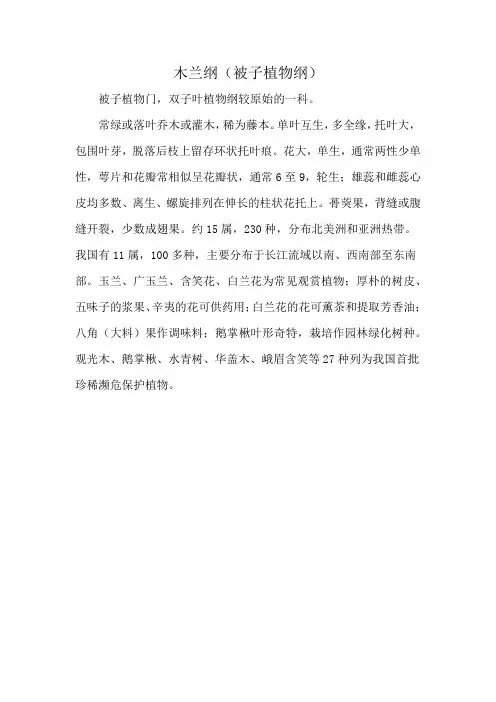木兰纲(被子植物纲)