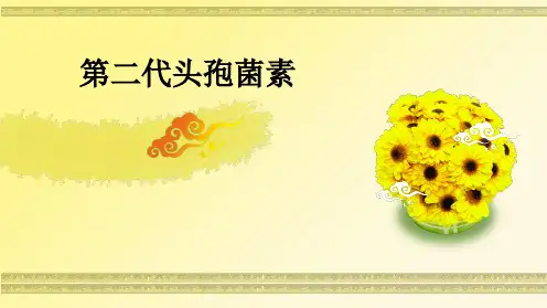 第二代头孢菌素