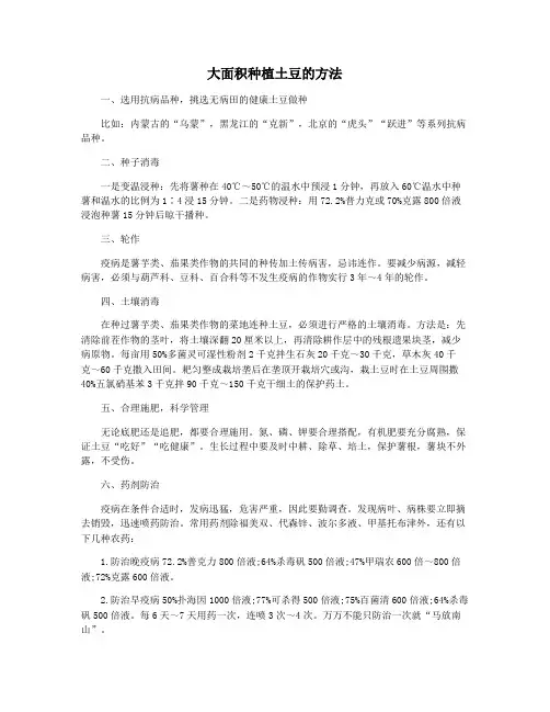 大面积种植土豆的方法