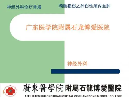 颅内血肿概述ppt课件