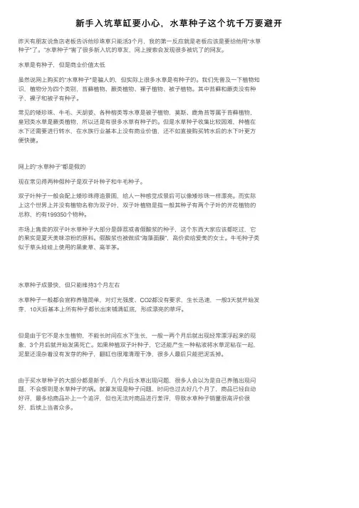 新手入坑草缸要小心，水草种子这个坑千万要避开