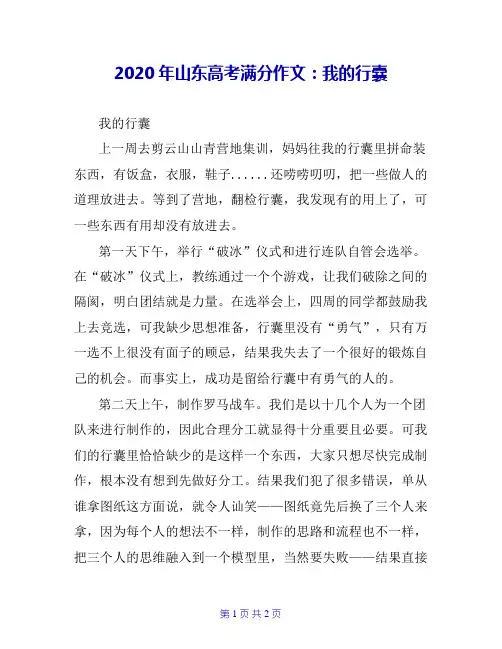 2020年山东高考满分作文：我的行囊