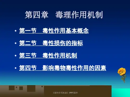 毒性作用机制课件