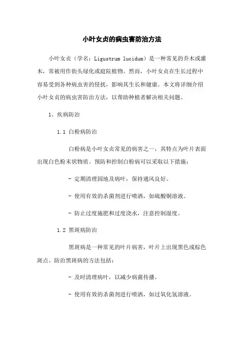 小叶女贞的病虫害防治方法