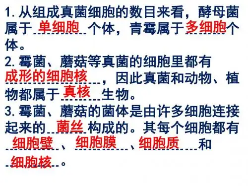 5.4.4细菌和真菌在自然界中的作用