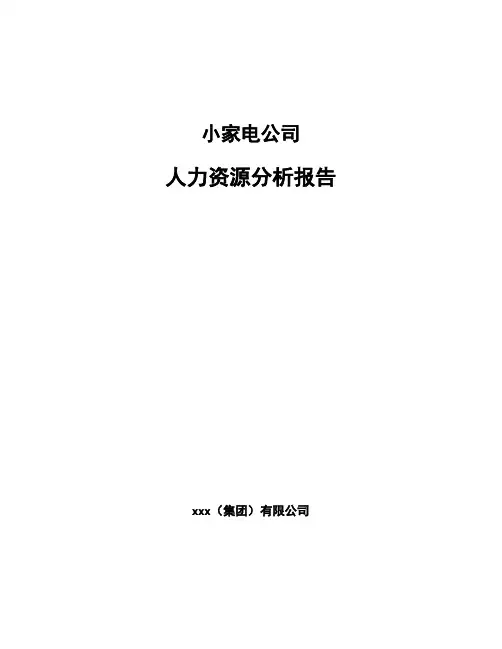 小家电公司人力资源分析报告（参考）
