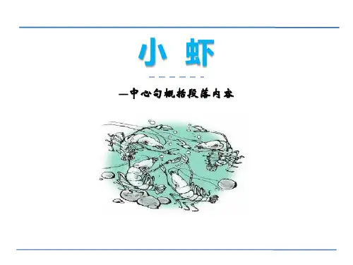 《小虾》(ppt)课件