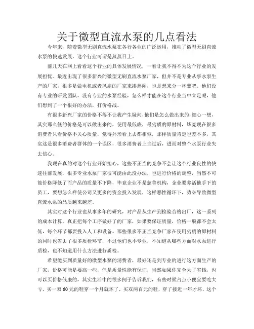 关于微型无刷直流水泵的看法