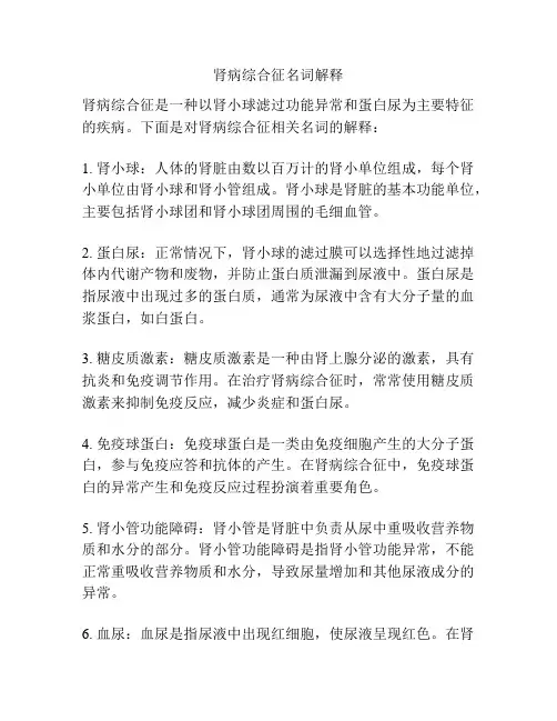 肾病综合征名词解释