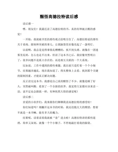 醒悟高德拉特读后感