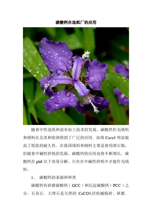 碳酸钙在造纸厂的应用