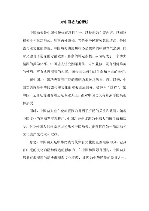 对中国功夫的看法