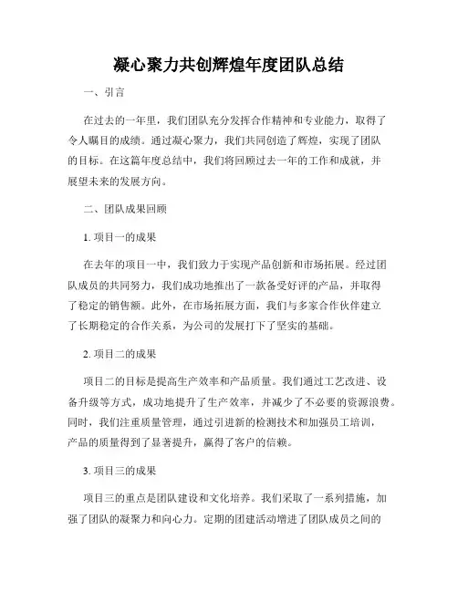 凝心聚力共创辉煌年度团队总结