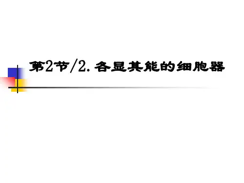 沪科版生物高中第一册3.2《细胞器》(共18张PPT)