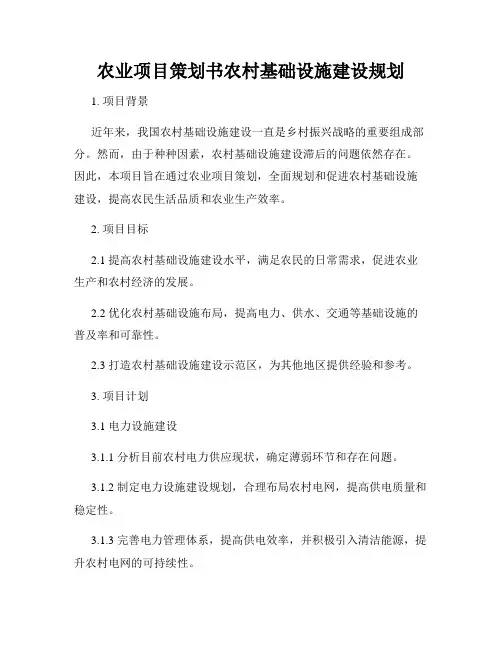 农业项目策划书农村基础设施建设规划