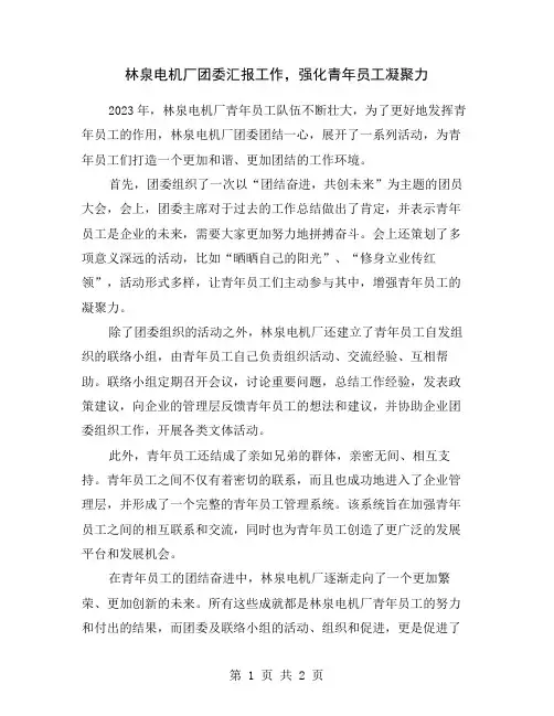 林泉电机厂团委汇报工作,强化青年员工凝聚力