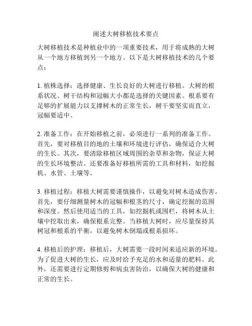 阐述大树移植技术要点