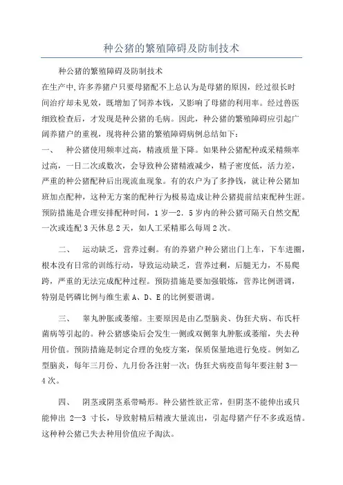 种公猪的繁殖障碍及防制技术