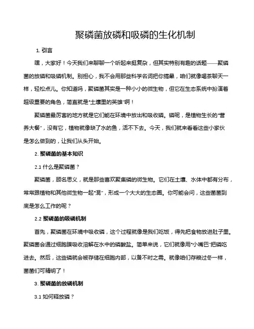 聚磷菌放磷和吸磷的生化机制