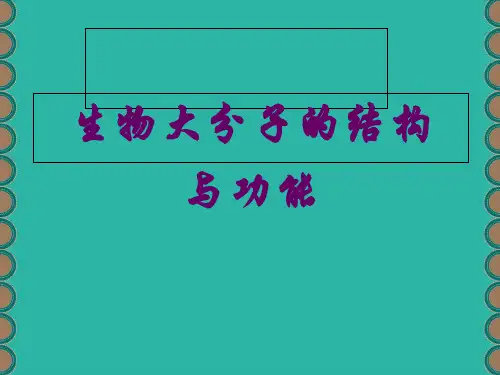 第一专题生物大分子的结构与功能