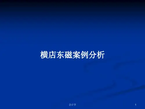 横店东磁案例分析PPT学习教案