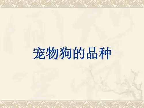 宠物狗的品种