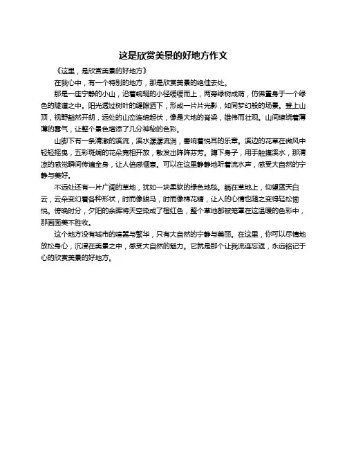 这是欣赏美景的好地方作文